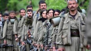 PKK/PYD-YPG terör örgütünün siyasi kolu, kanadıyla maskeli balo tertipleyenler