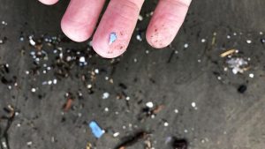 Rusya’nın Sibirya bölgesinde yağan karda mikroplastik bulundu