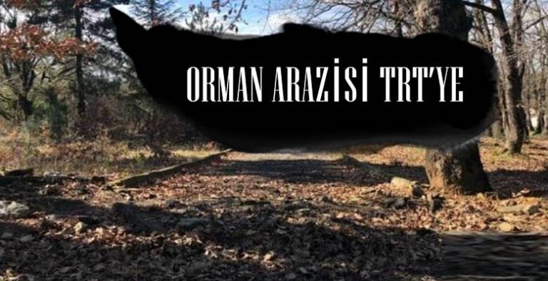 453 dönüm orman arazisi TRT’ye tahsis edildi..