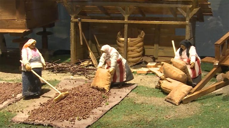 Fındığın serüveni artık bu müzede anlatılacak