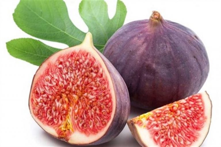 Bursa Siyah İnciri’nde hedef dünya pazarı 