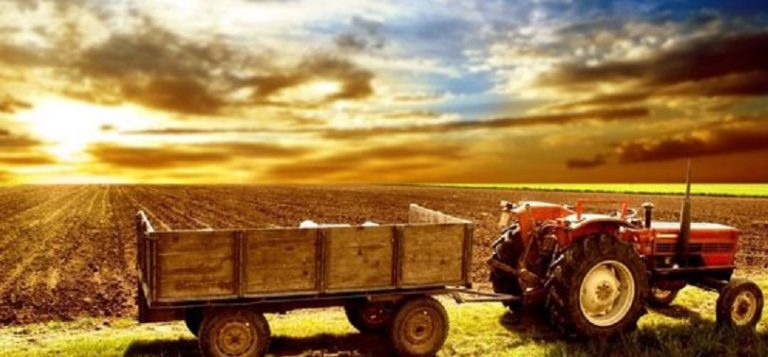 Topraktan sofraya uzanan yolculuğa Beykoz Üniversitesi ve LODER’in sempozyum desteği