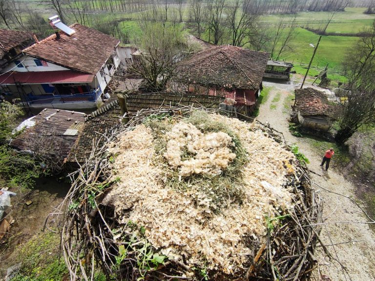 Kandıra Belediyesi’nce ‘Leylek Yuvası’ bakıma alındı