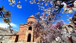 Akdamar Adası badem çiçekleriyle renklendi