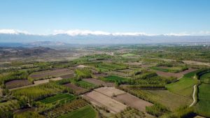 İsviçre’de 2 bin iç çamaşırıyla toprak kalitesi ölçülecek