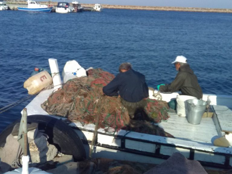 Trakya Platformu: Saros Körfezi Ekolojik Açıdan Kritik Bir Sürece İtiliyor