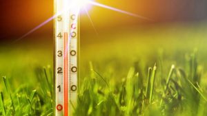 Yeni haftada sıcaklıklar mevsim normallerinin üstünde