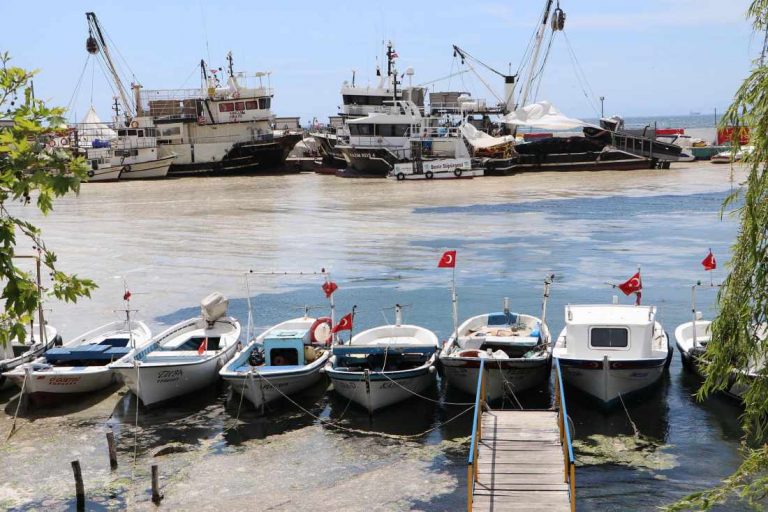 Çevre Bakanlığı deniz salyası için harekete geçti