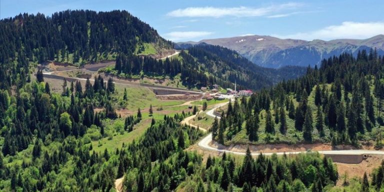 Karadeniz’de yaylaya göç başladı