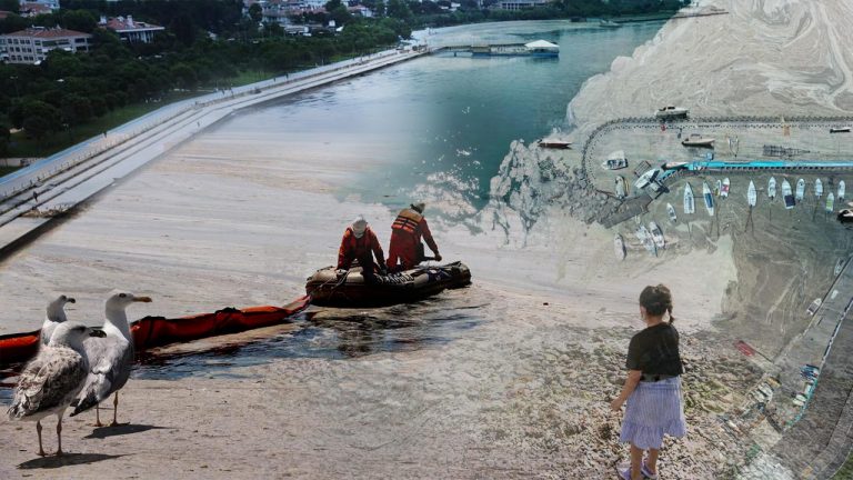 Müsilajın istila ettiği İstanbul sahillerinde temizlik başladı