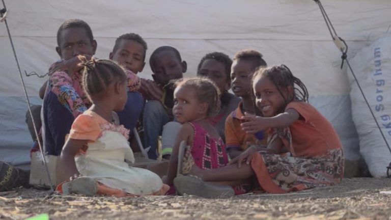 Açlık, kuraklık ve savaştan kaçıyorlar: 20 Haziran Dünya Mülteciler Günü