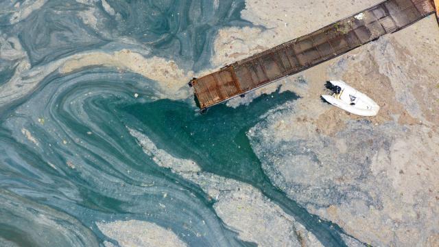 Marmara’da 7 bin 430 metreküp müsilaj toplandı