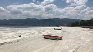 Müsilaja karşı yeni yöntem: Reaktif Oksijen