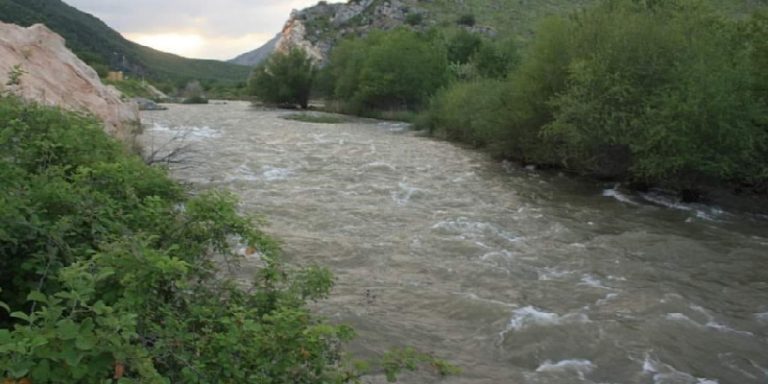Ermenistan ve Almanya’nın Okçuçay’a karşı işlediği ekolojik teröre görmezden gelinemez!