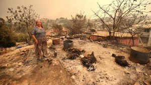 Manavgat’taki 5 mahallede hasar tespit çalışmaları tamamlandı