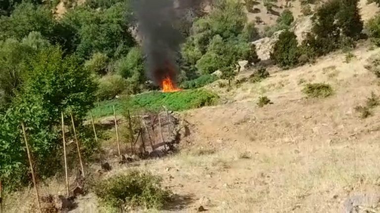 Jandarma PKK’nın uyuşturucu tarlalarını imha etti