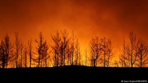 Yangınların önüne geçilebilir mi, hasar nasıl azaltılır?