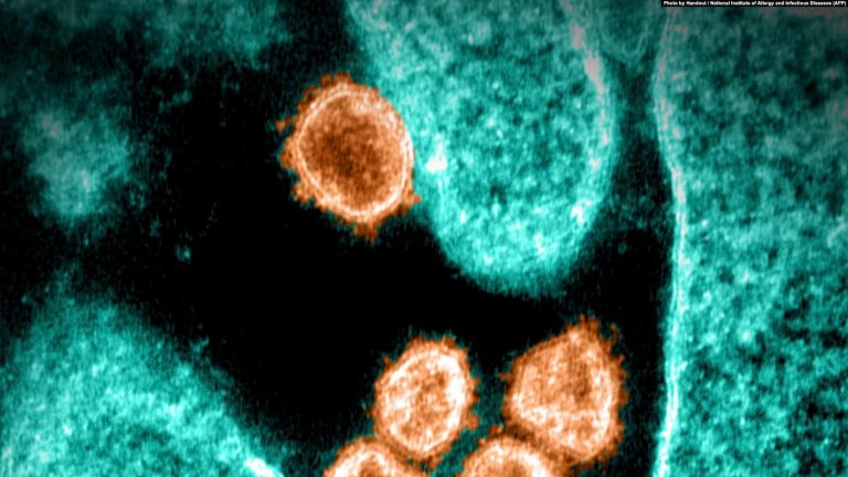 COVID-19’a Karşı İlaç Tedavisi Umudu Güçleniyor