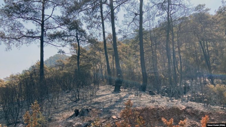 “Kendi Acılarımıza Bakmaktan Başkalarının Acılarına Bakamıyoruz”