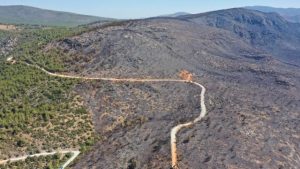 Milas ve Bodrum yangınları kontrol altında