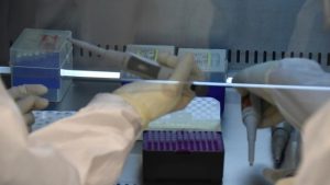 İçişleri Bakanlığı’ndan PCR genelgesi