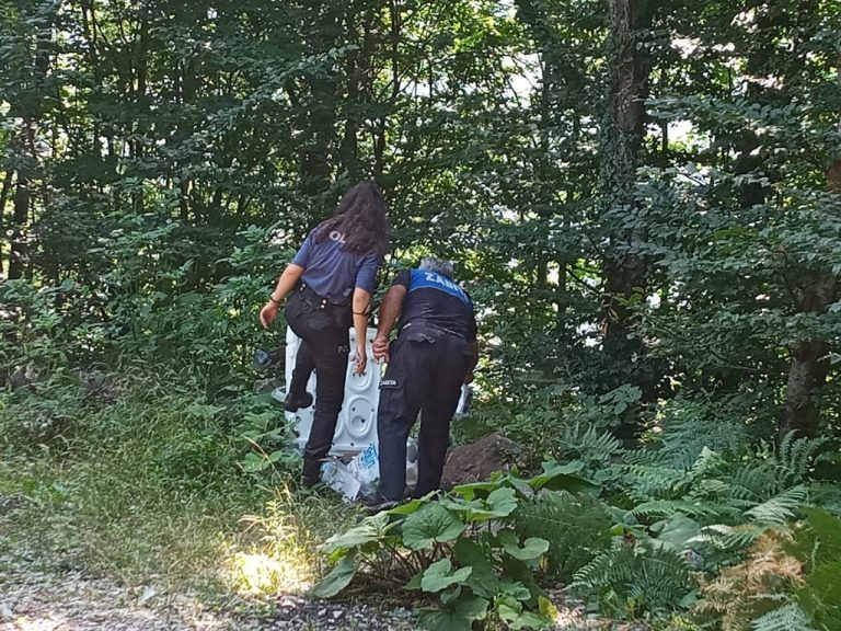 Kocaeli Kartepe’de ormanlar kontrol altında