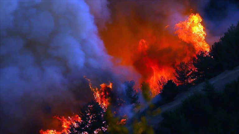 Terörün Somut ve Soyut Yeni Yöntemleri