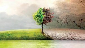 2050’ye kadar sıfır karbon hedefi gerçek mi?