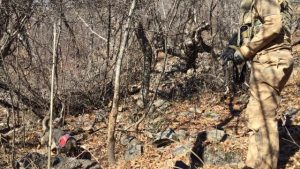 Diyarbakır’da 2 terörist etkisiz hale getirildi