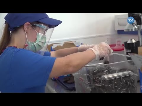 Engellileri İş Dünyasına Kazandıran Programlar
