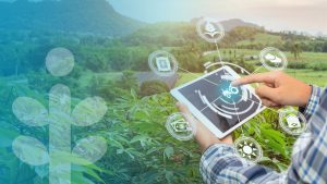 ‘Dijital Su – Dijital Tarım’