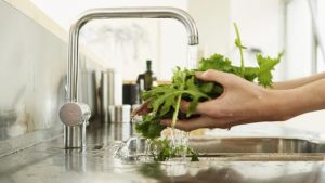 Meyve ve sebze temizliği hayati önem taşıyor