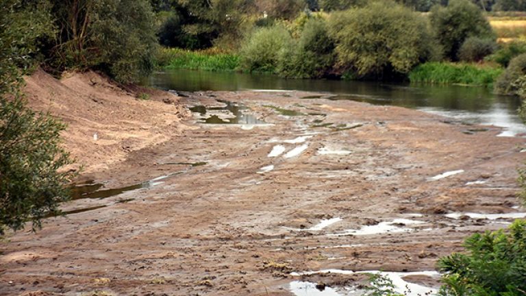 Tunca ve Meriç nehirlerinde korkutan kuraklık: Dip seviyede