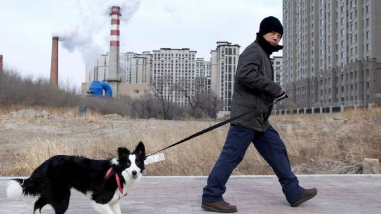 İklim krizi: Dünyayı en çok kirleten ülkeler, karbon emisyonunu azaltmak için neler yapıyor?