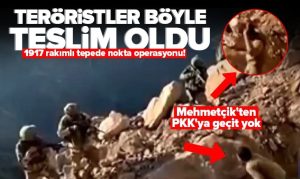 Mağarada saklanan teröristler teslim oldu