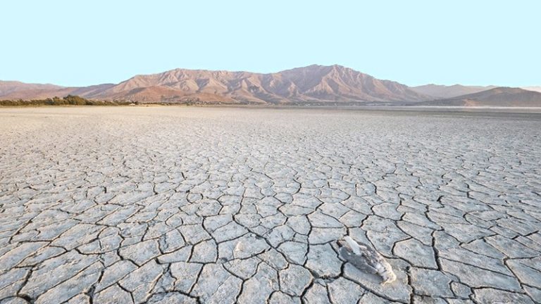 Felakete karşı son fırsat