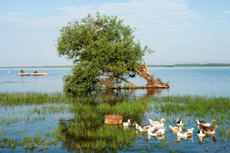 Türkiye’deki mevcut doğal göller ve sulak alanlar tehlike çanları çalıyor