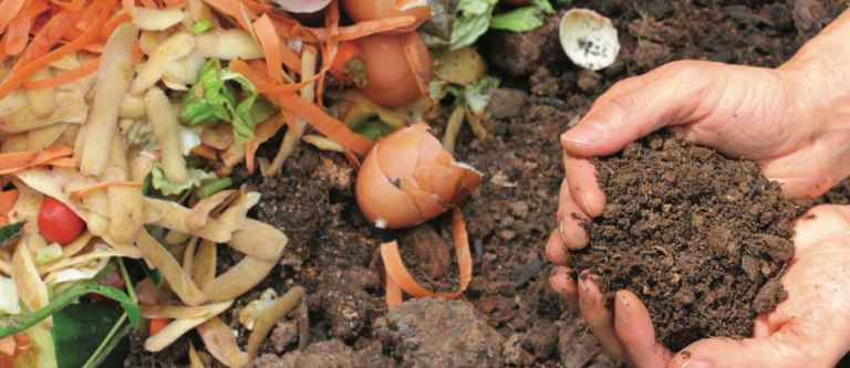 Atıksız Şehir-Topraktan Toprağa Biyobozunur Atık Projesi