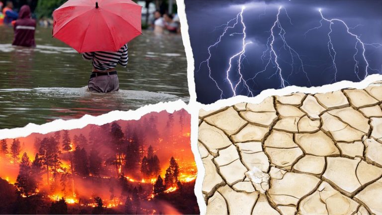 SPD Başkanı Yıldız: İklim değişikliği kurumsal ve düşünsel değişimi gerekli kılıyor