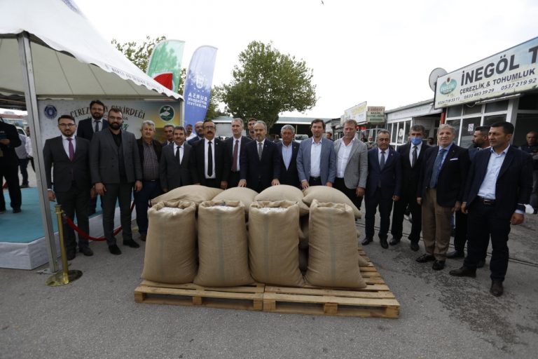 Bursa Büyükşehir Belediyesi’den çerezlik ayçekirdeği üreticisine alım desteği