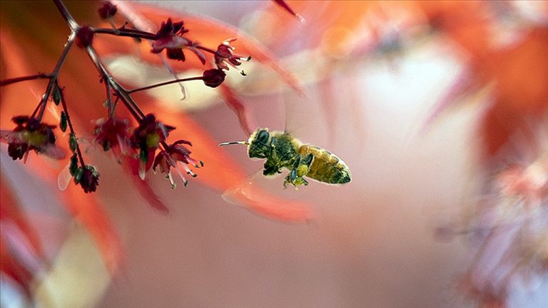 Paris İklim Anlaşması ve Türkiye’nin İklim Politikası