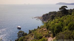 İBB İmar Daire Başkanı Akgün: Plan yapma yetkisinin yerelden merkeze alınması sorundur