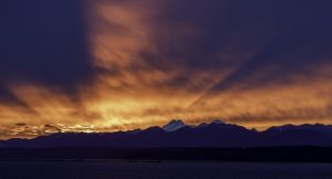 IOC ve İklim Eylem Planı