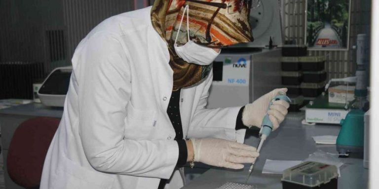 Dicle Üniversitesi pandemiye rağmen yılda 25 kemik iliği nakli gerçekleştirdi