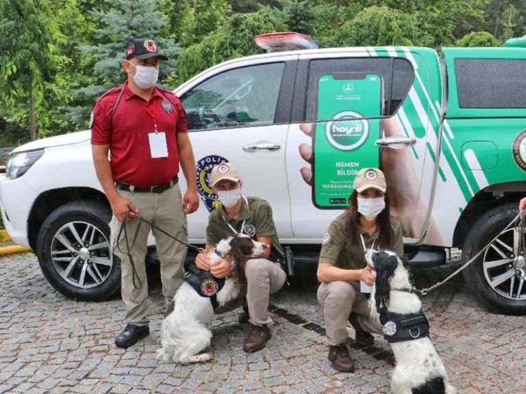 HAYDİ Uygulaması Sayesinde 27 Bin 758 İhbara Anında Müdahale Edildi