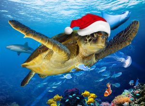 Eğlenceli yılbaşı etkinlikleri LEGOLAND® Discovery Centre ve SEA LIFE İstanbul’da ziyaretçilerini bekliyor