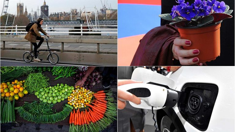 10 maddede ‘küresel ısınmayı’ azaltmak için günlük hayatımızda yapmamız gerekenler