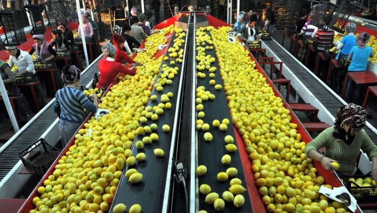 Egeli yaş meyve sebze ve mamulleri ihracatçıları Cumhuriyetin 100. Yılında 1,5 milyar dolar ihracat hedefi koydu