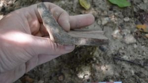 Tahrip edilen alanda 5000 yıl öncesine ait kalıntılar tespit edildi