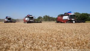 FAO: Gıda ve yem fiyatları yüzde 20 artabilir